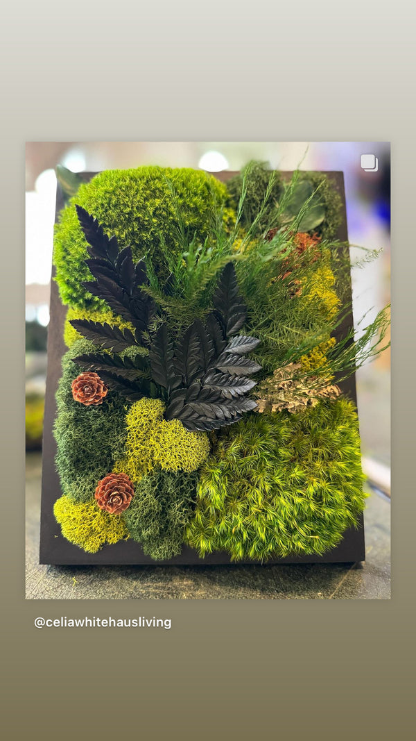 Desktop Lush Green Moss Art - Modern Botanical Home or Office Decor